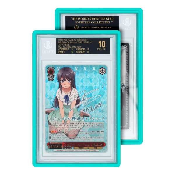 Standard Case (BGS) - Mint